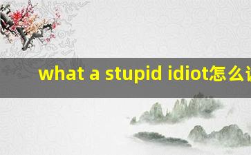 what a stupid idiot怎么读